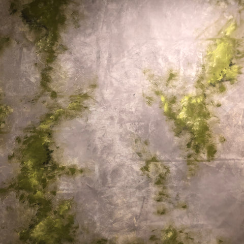 Moss on Concrete Backdrop 8 x 8