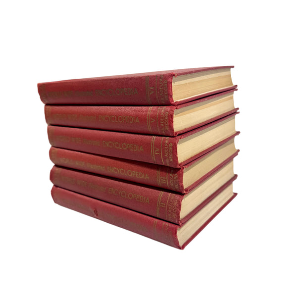 Books Stack World Wide Illustrated Encyclopedia