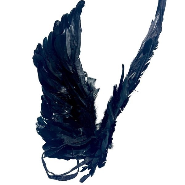 Angel Wings Feathers