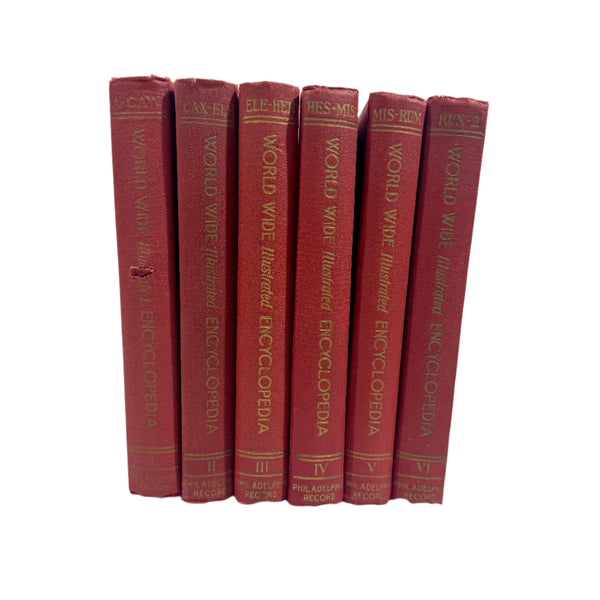 Books Stack World Wide Illustrated Encyclopedia