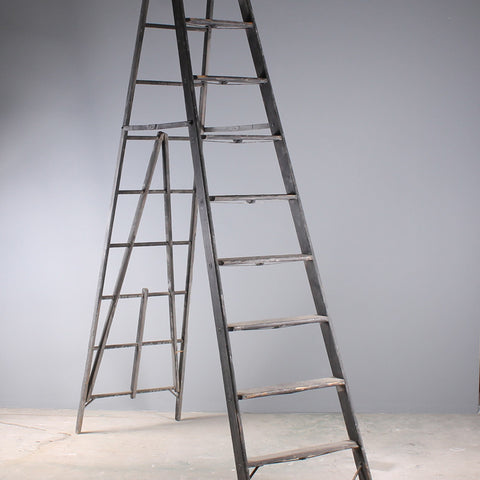 Ladder Dark Gray 10ft