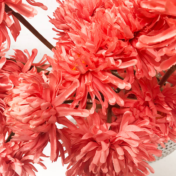 Flowers Chrysanthemum Salmon