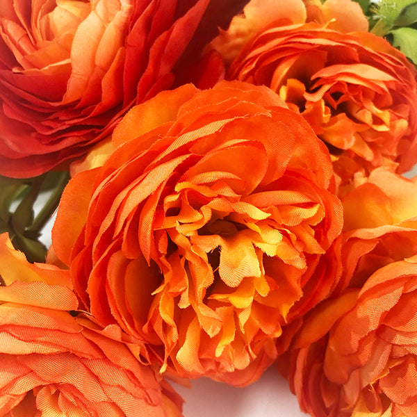 Flowers Ranunculus Orange
