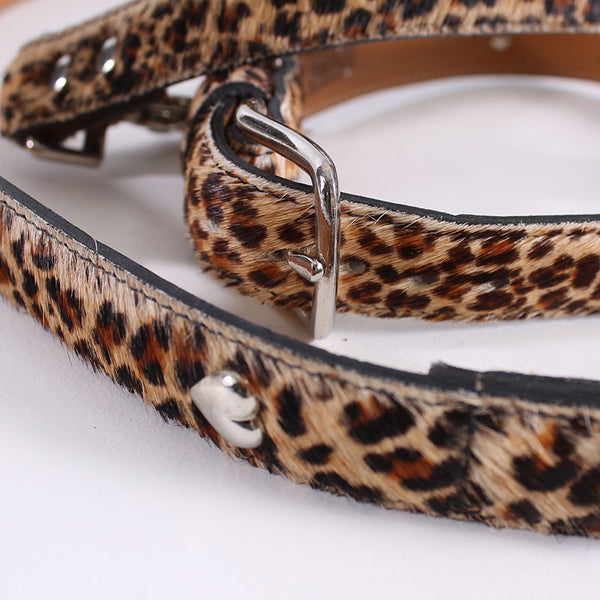 Dog Cheetah Leash & Collar Large