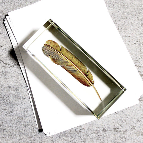 Paperweight Feather