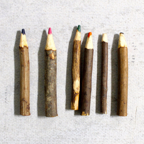 Colored Pencils Twig