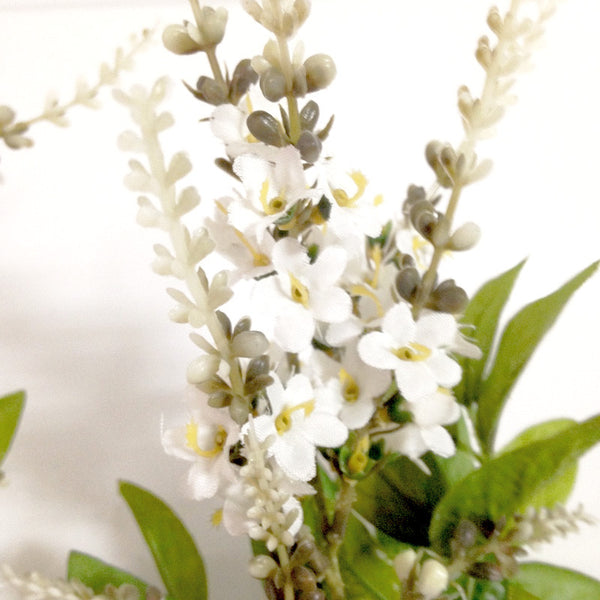 Flowers White Lupine