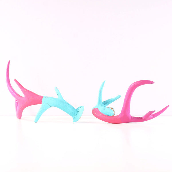 Antlers Painted