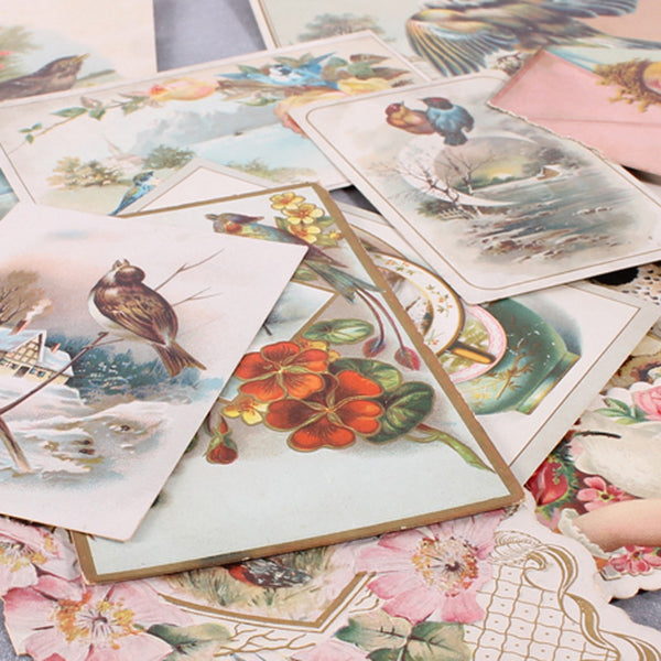 Vintage Cards Bird