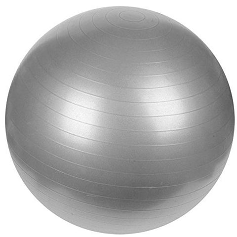 Exercise Ball Silver
