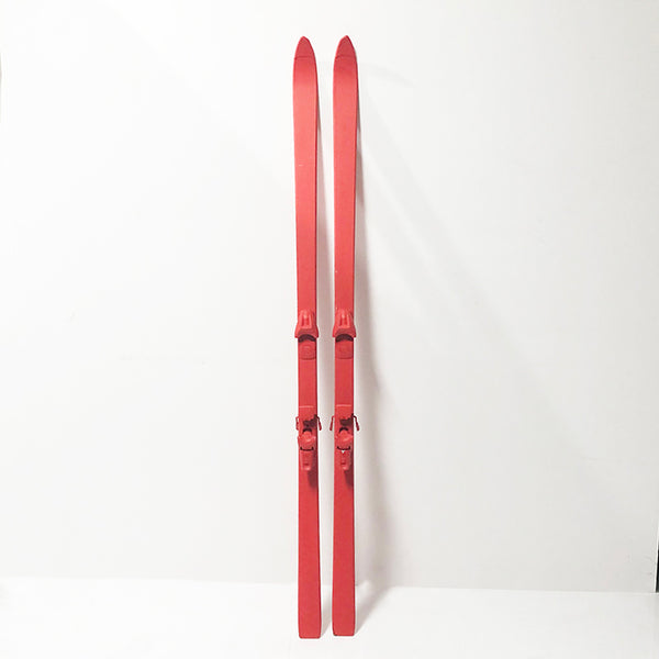 Skis Paintable