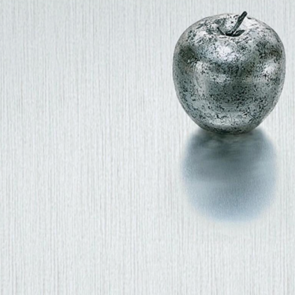 brushed silver 98 x 48