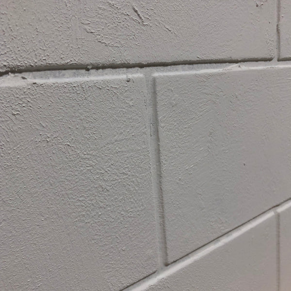 Cinder Block Wall 10 X 10