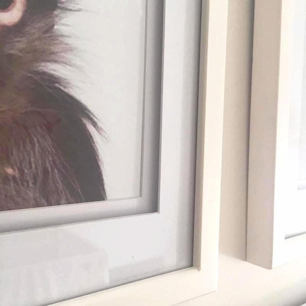 Portraits Animal 12 x 15