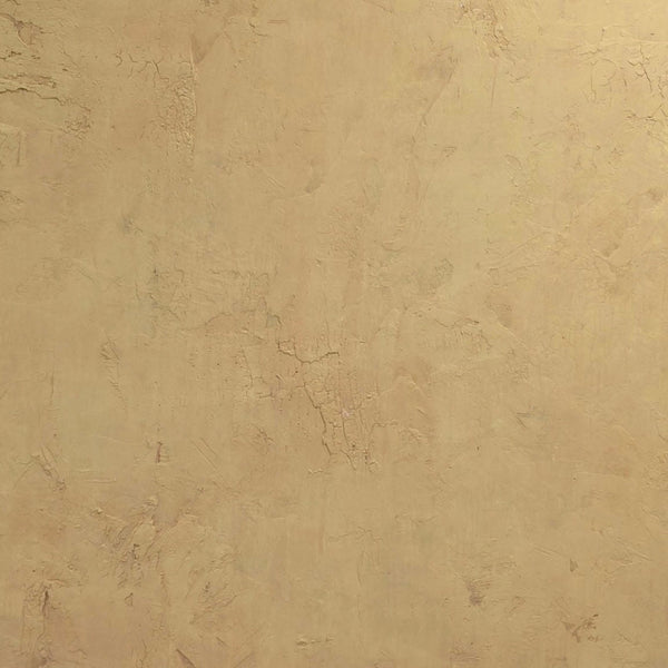 Stucco Wall (B)  10 x 6