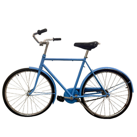 Bike Kids Blue