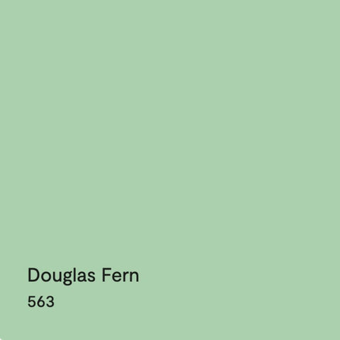 Douglas Fern Lino 12 x 10