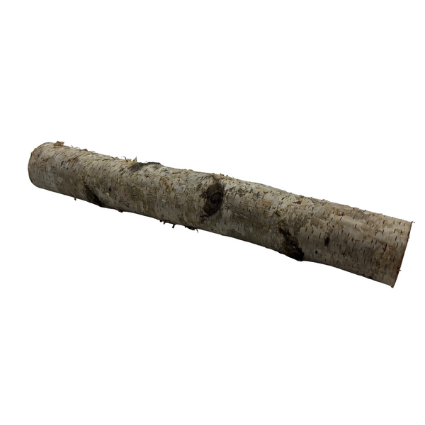 Logs Birch Small Light