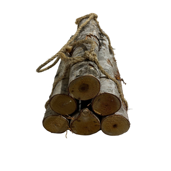 Logs Birch Small Bundle
