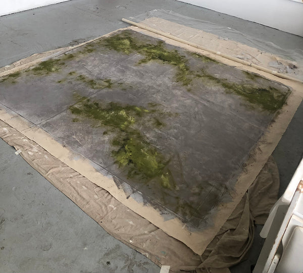 Moss on Concrete Backdrop 8 x 8