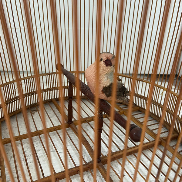 Bird Cage Penny