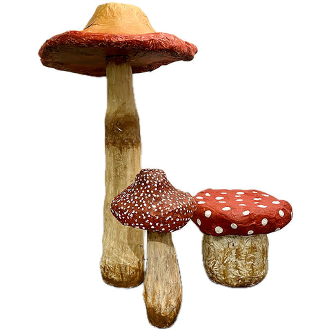 Mushroom Set Zoe