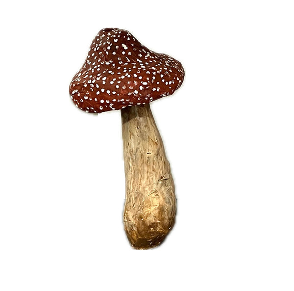Mushroom Set Zoe
