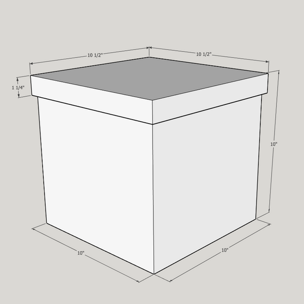 Box with lid 10 x 10 x 10