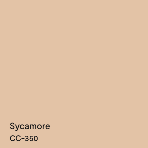 Stucco wall 8ft x 8ft
