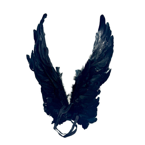 Angel Wings Feathers