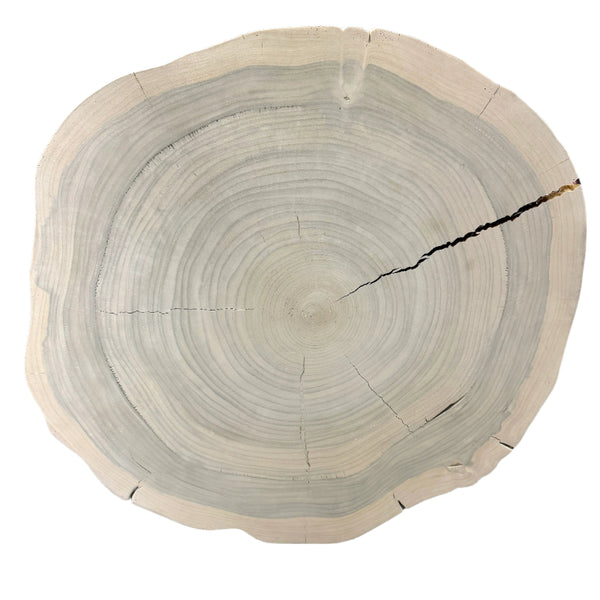 Round Wood Surface or Table Top