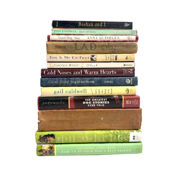 Books Stack Dog Lovers