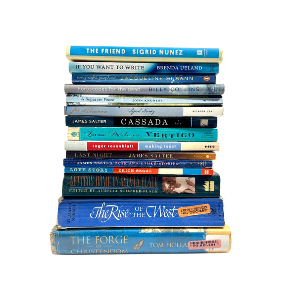 Books Stack Blue paperbacks