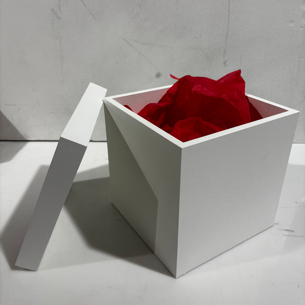 Box with lid 10 x 10 x 10