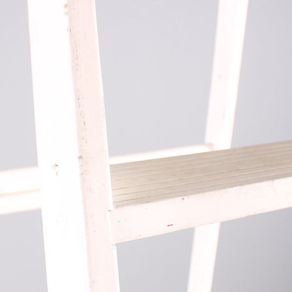 Ladder White 6ft