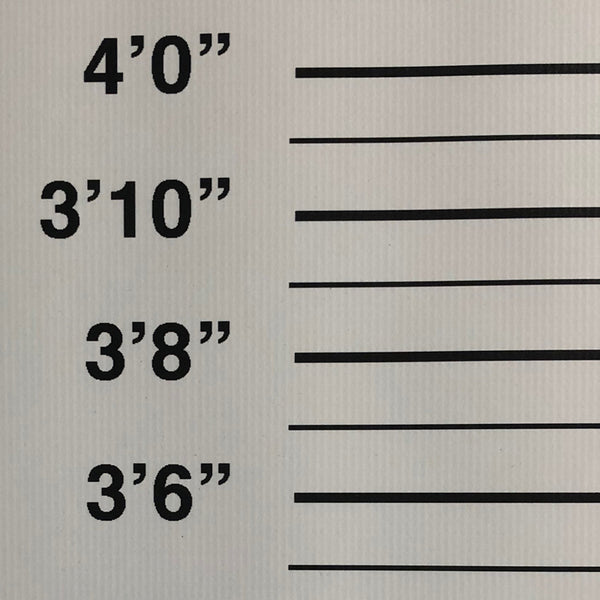 Size Chart Backdrop 10 x 7