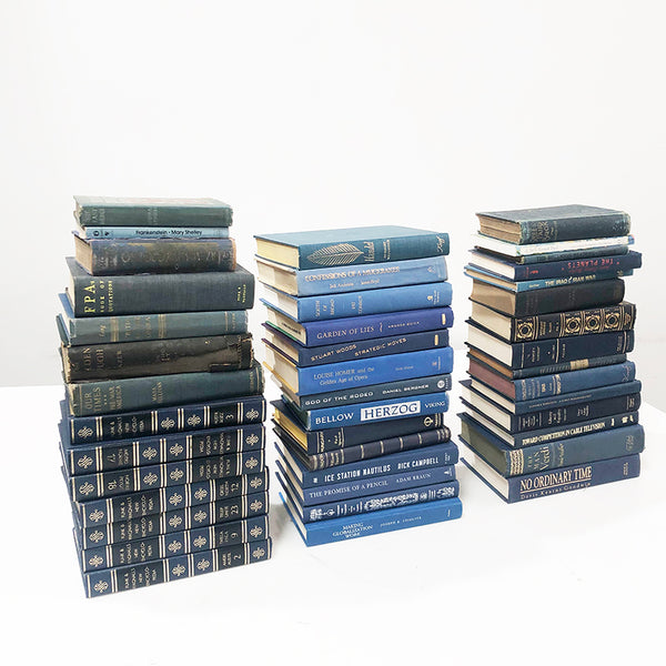 Books Stack Blue