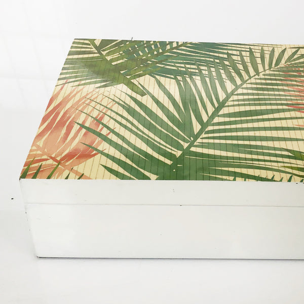 Box Palm