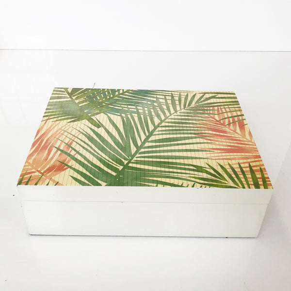 Box Palm