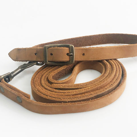 Dog Leash & Collar Leather