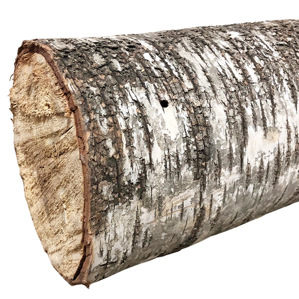 Logs Birch Large