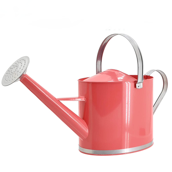 Watering Can Coral