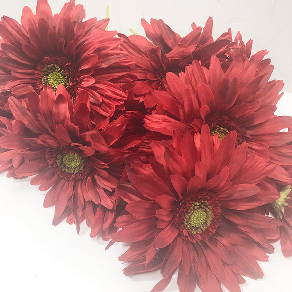 Flowers Daisy Red