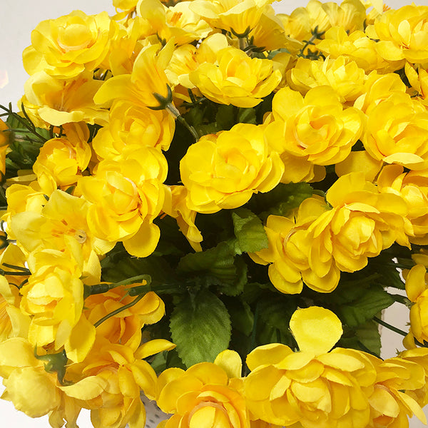 Flowers Yellow Henry