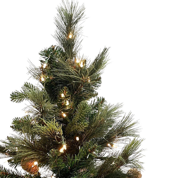 Christmas Tree Pine