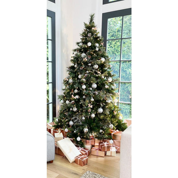 Christmas Tree Pine