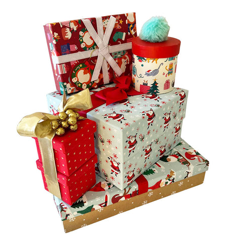 Presents Set Santa