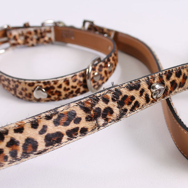 Dog Cheetah Leash & Collar Large
