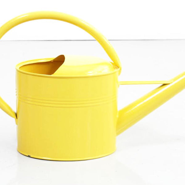 Watering Can Ida