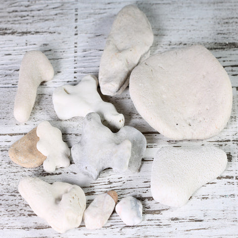 Rocks & Coral Pieces